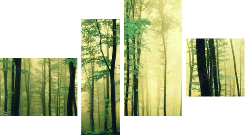 Magiczny zielony kolor lasu - Obraz czteroczęściowy, Fortyk