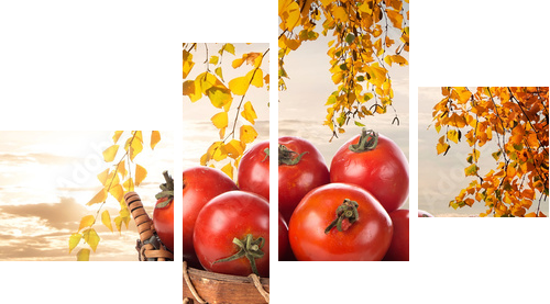 Dojrzałe pomidory - Obraz czteroczęściowy, Fortyk
