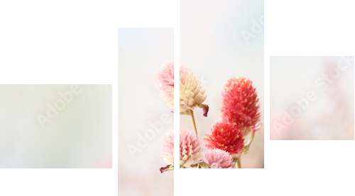 Piękni wysuszeni kwiaty na jaskrawym tle - Obraz czteroczęściowy, Fortyk