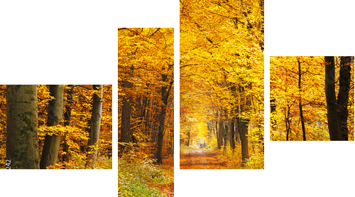 Las jesienią - Obraz czteroczęściowy, Fortyk