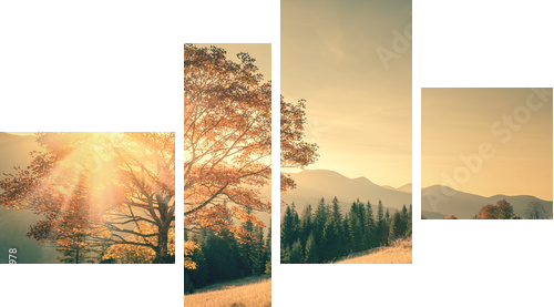 Jesieni drzewa i sunbeam dnia ciepły krajobraz tonujący w roczniku - Obraz czteroczęściowy, Fortyk
