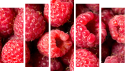 Pentaptyk - Obraz pięcioczęściowy