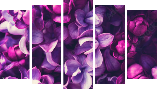 Tło kwiaty bzu - Obraz pięcioczęściowy, Pentaptyk