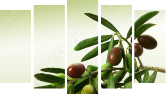 Gałąź oliwna - Obraz pięcioczęściowy, Pentaptyk