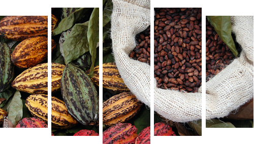 Kakao - Obraz pięcioczęściowy, Pentaptyk