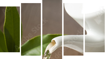 Moc zaklęta w aromacie - Obraz pięcioczęściowy, Pentaptyk