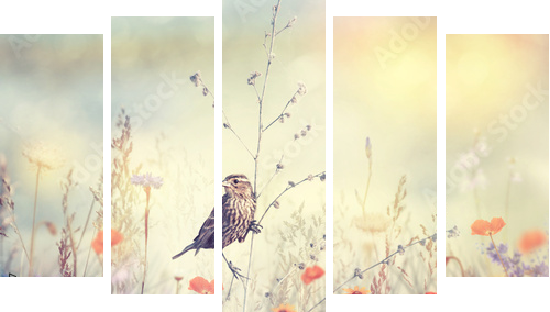 Pole z dzikimi kwiatami i ptakiem - Obraz pięcioczęściowy, Pentaptyk