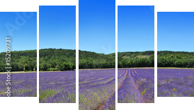 Panorama Prowansji - Obraz pięcioczęściowy, Pentaptyk