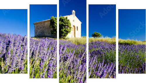 Kaplica, Plateau de Valensole, Prowansja, Francja - Obraz pięcioczęściowy, Pentaptyk
