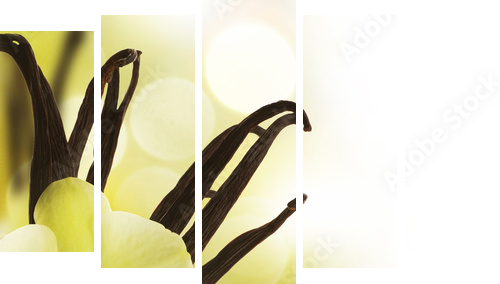 Wanilia - żółty kwiat  - Obraz pięcioczęściowy, Pentaptyk