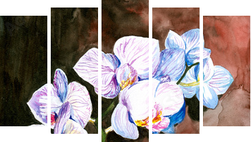 Orchid akwarela malowane. - Obraz pięcioczęściowy, Pentaptyk