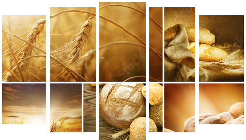 Pszenica Collage.Harvest koncepcje - Obraz pięcioczęściowy, Pentaptyk