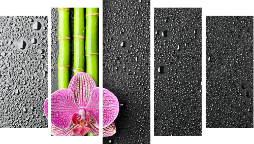 Kwiat w kroplach deszczu - Obraz pięcioczęściowy, Pentaptyk