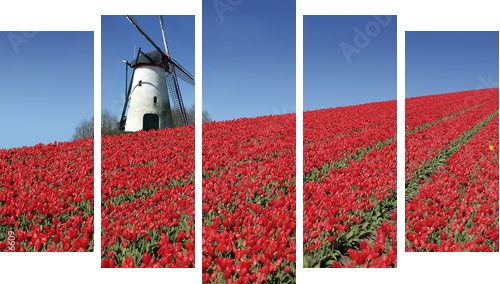 holenderski młyn i czerwone tulipany - Obraz pięcioczęściowy, Pentaptyk