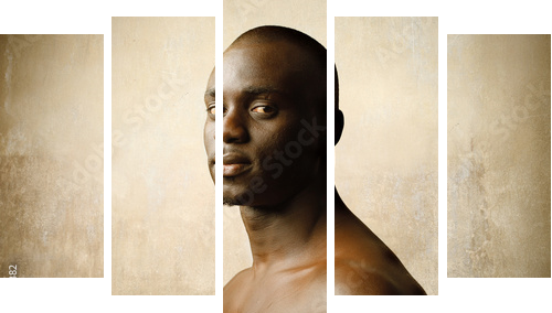 Afrykańskie piękno - Obraz pięcioczęściowy, Pentaptyk