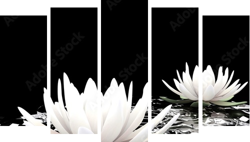 Biały kwiat lotosu na wodzie - Obraz pięcioczęściowy, Pentaptyk