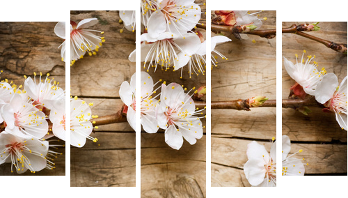 Drewniany tło z wiosny okwitnięciem - Obraz pięcioczęściowy, Pentaptyk