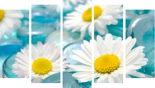 Kwiaty Daisy na Blue Glass Stones - Obraz pięcioczęściowy, Pentaptyk