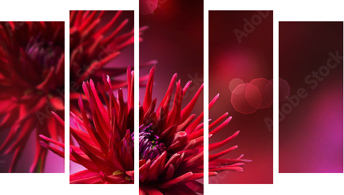 Dahlia Jesienny projekt kwiatu - Obraz pięcioczęściowy, Pentaptyk