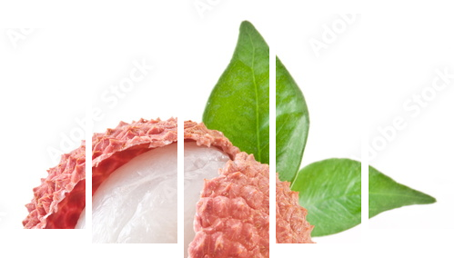 Lychee z liśćmi na białym tle. - Obraz pięcioczęściowy, Pentaptyk