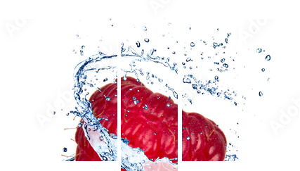 Malinka z wodnym pluśnięciem, odosobnionym na białym tle - Obraz pięcioczęściowy, Pentaptyk