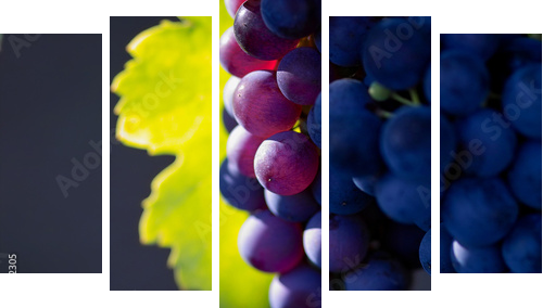 Dojrzałe winogrona w blasku słońca - Obraz pięcioczęściowy, Pentaptyk