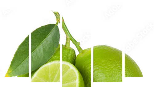 Limonka - Obraz pięcioczęściowy, Pentaptyk
