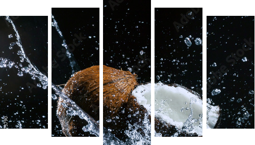 pęknięty orzech kokosowy - Obraz pięcioczęściowy, Pentaptyk