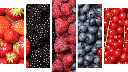 Świeże owoce jagodowe tło - Obraz pięcioczęściowy, Pentaptyk
