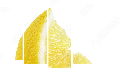 Plasterek cytryny owoc odizolowywająca na białym tle - Obraz pięcioczęściowy, Pentaptyk