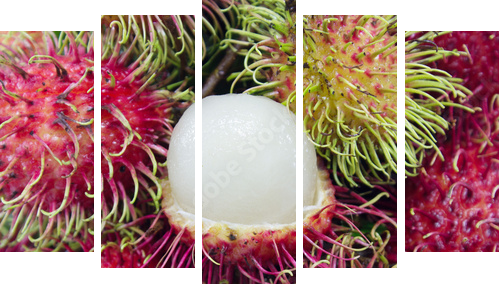 Owoce Rambutan - Obraz pięcioczęściowy, Pentaptyk