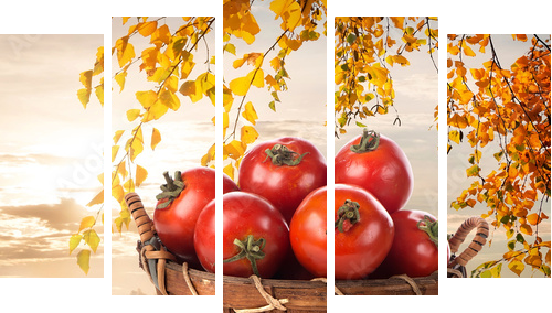 Dojrzałe pomidory - Obraz pięcioczęściowy, Pentaptyk