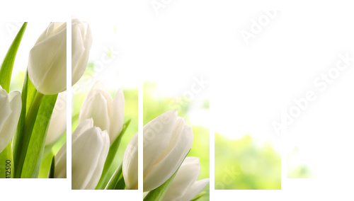Białe tulipany - Obraz pięcioczęściowy, Pentaptyk
