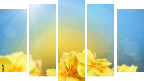Żółte kwiaty na tle przyrody - Obraz pięcioczęściowy, Pentaptyk