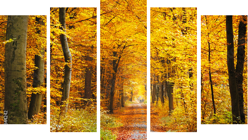 Las jesienią - Obraz pięcioczęściowy, Pentaptyk