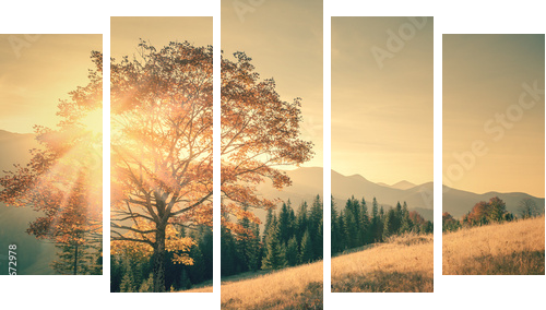 Jesieni drzewa i sunbeam dnia ciepły krajobraz tonujący w roczniku - Obraz pięcioczęściowy, Pentaptyk