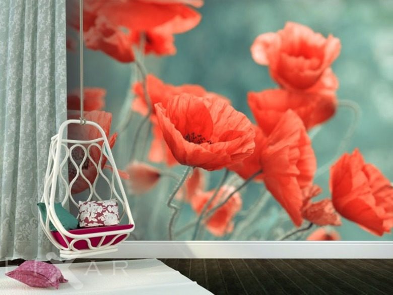 Fototapeta kwiaty czerwone maki fixar