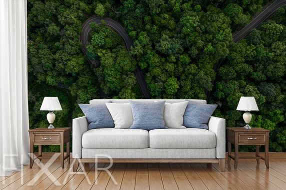 Lesny-zakret-z-lotu-ptaka-krajobrazy-fototapety-fixar