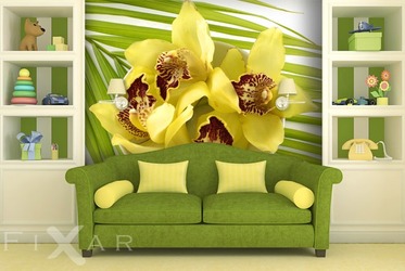 Kwiat-w-cetki-orchidea-fototapety-fixar