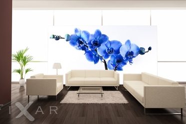 Orchidea-czaruje-w-przestrzeni-kwiaty-fototapety-fixar